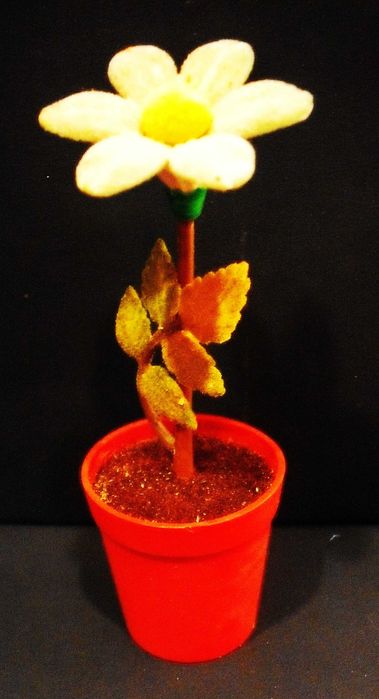 Flor que muda de cor conforme o tempo - Portuguesa