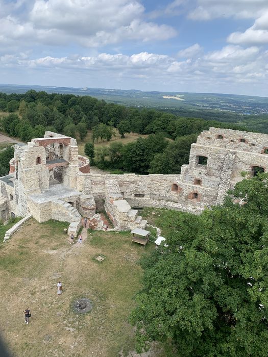Uslugi koparką obrotową - prace ziemne