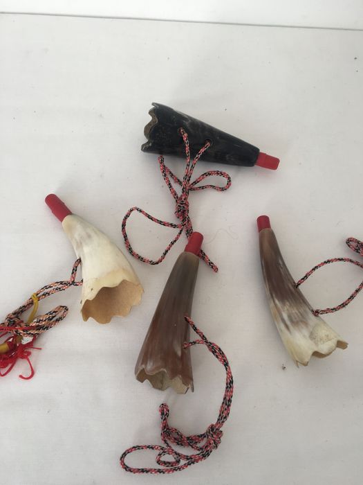 Trompetas do tamanho da palma da mão