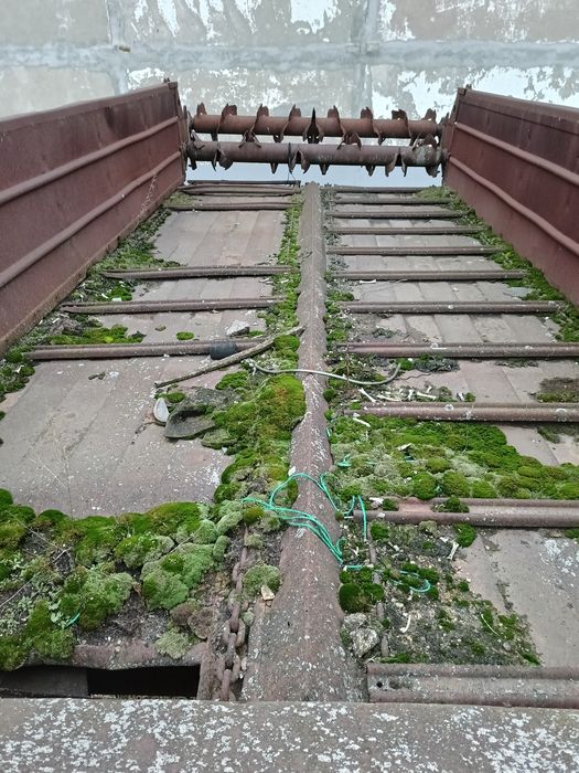 Гноє розкидачь бу