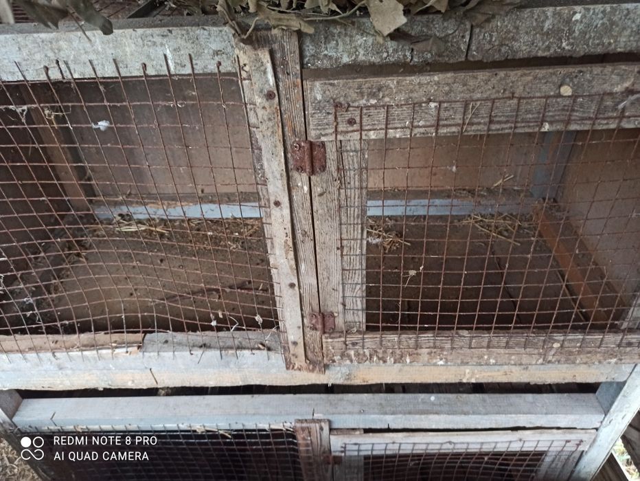 клітка 2 ярусна  з дверцятами.