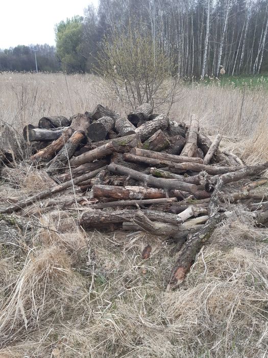 Drewno olszynado palenia sprzedam