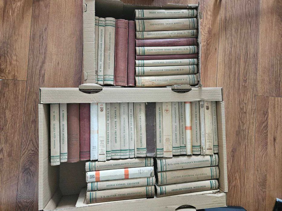 Biblioteka Wiedzy  (wyd. Trzaska Evert i Michalski 41 tomów) KOLEKCJA