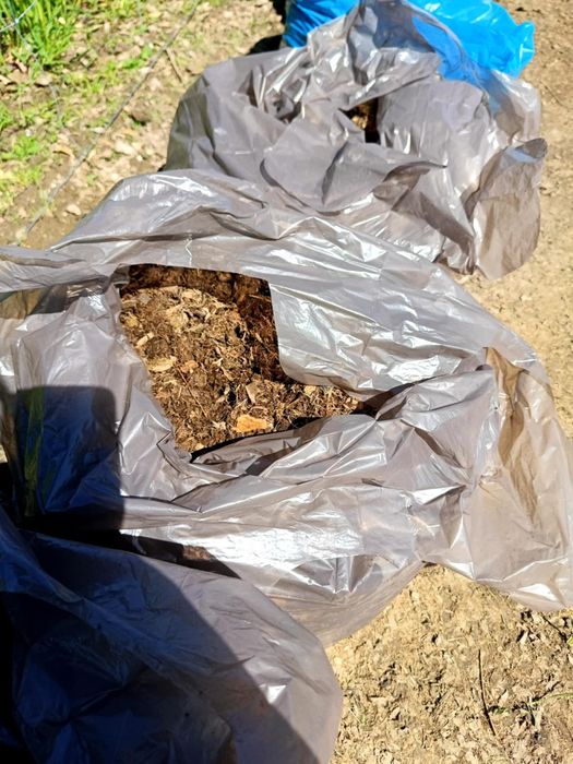 Obornik, koński nawóz