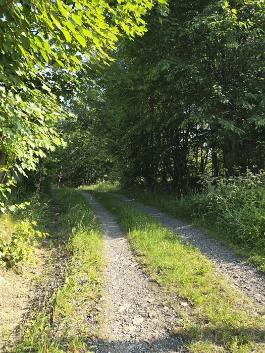 Dom – Sułkowice - Widok 5