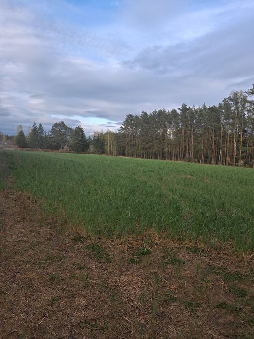 Działka Budowlana