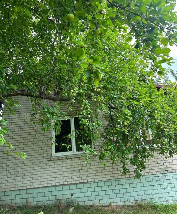 Продаж затишної дачі в 15 хв. від Львова