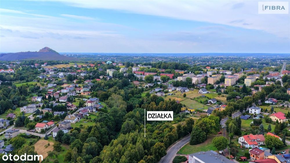 Zdjęcie 8