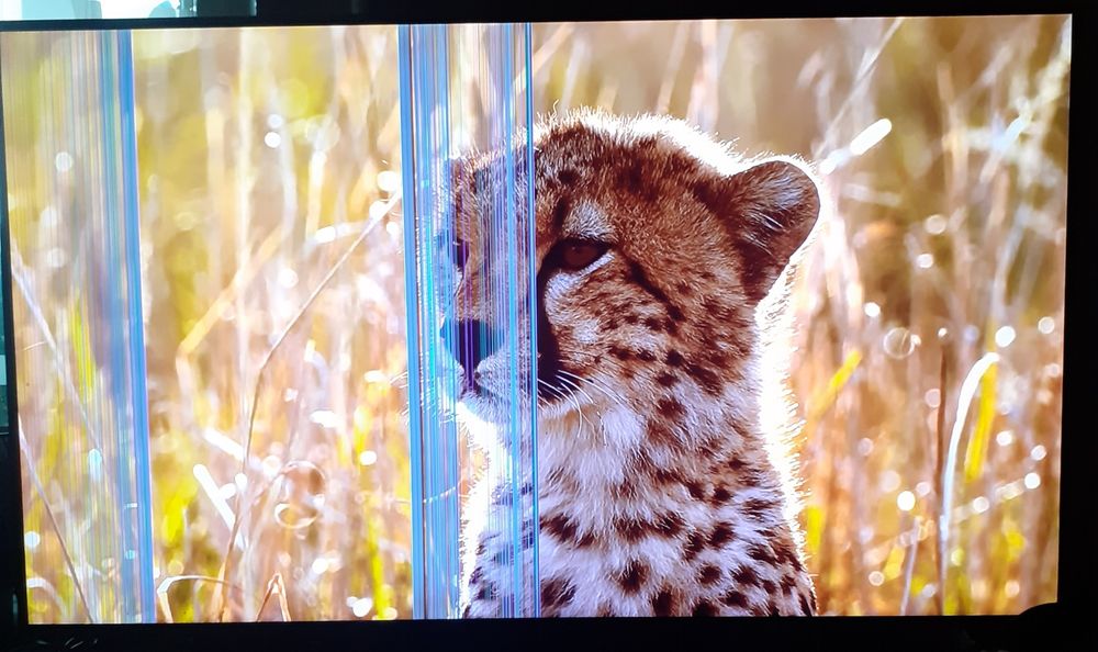 Телевізор Panasonic TX-55C320E на запчастини чи ремонт