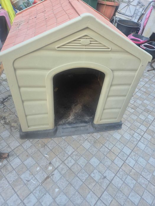 Casota para cão grande