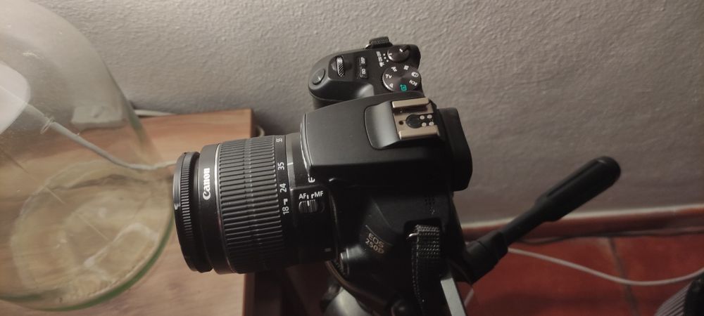 Máquina fotográfica Canon EOS 250D + objetiva + bolsa + tripé