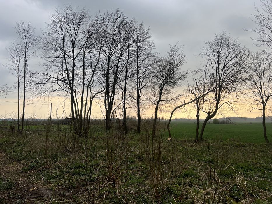 Działka budowlana 15km od Ciechanowa asfaltowy dojazd !!!