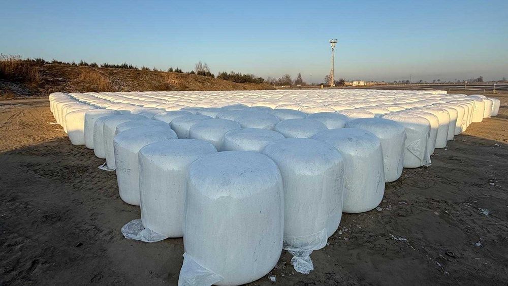 Wysłodki buraczane w balotach