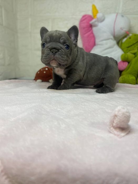 Найгарніший хлопчик