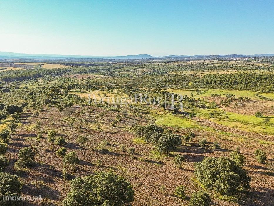 Quinta de 9,4 hectares em Medelim — Proença-a-Velha, Castelo Branco