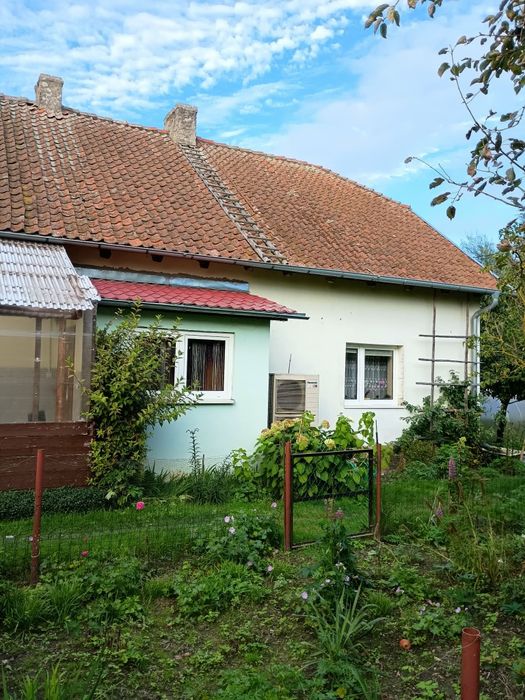 Zdjęcie 5