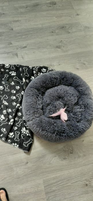 Cama para gato puff mais manta briquedo e ccbertor e comida