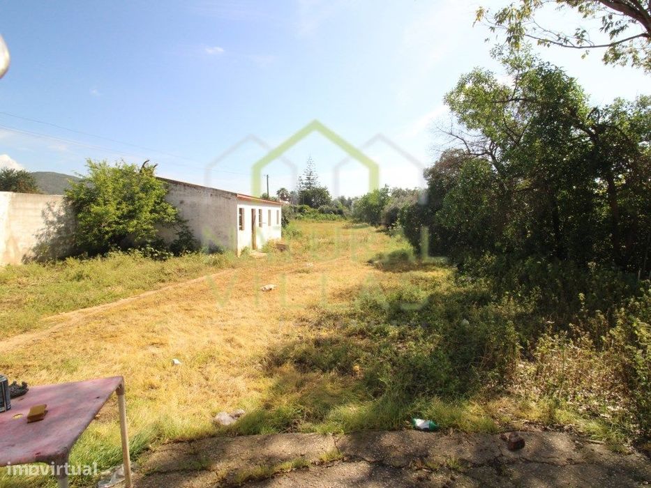 Terreno com potencial construtivo em Falfosa, Santa Bárbara de Nexe