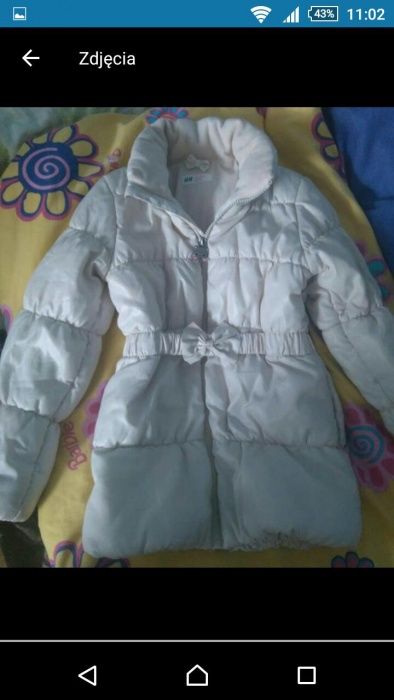 Kurteczki hm hellou kitty