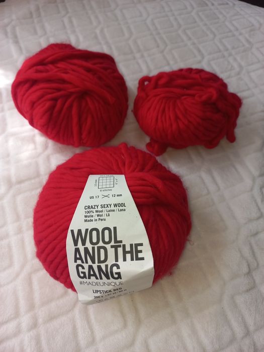 Товста перуанська пряжа Wool and the Gang "Crazy Sexy Wool"