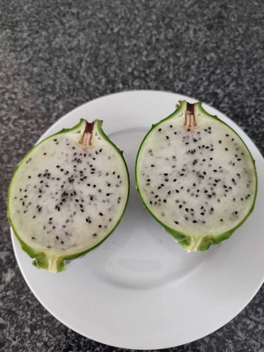 Pitaya de Coleção
