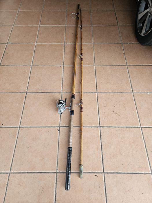 Vendo cana de pesca e carrinho