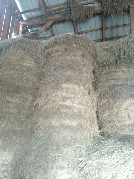 Sprzedam siano pierwszy i drugi pokos