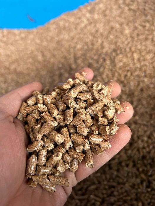 Pellet drzewny 6mm Lębork • OLX.pl