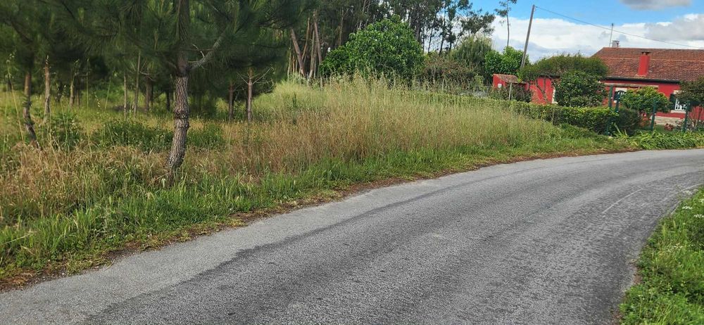 Terreno no Bebedouro 5000m2 — Arazede, Coimbra