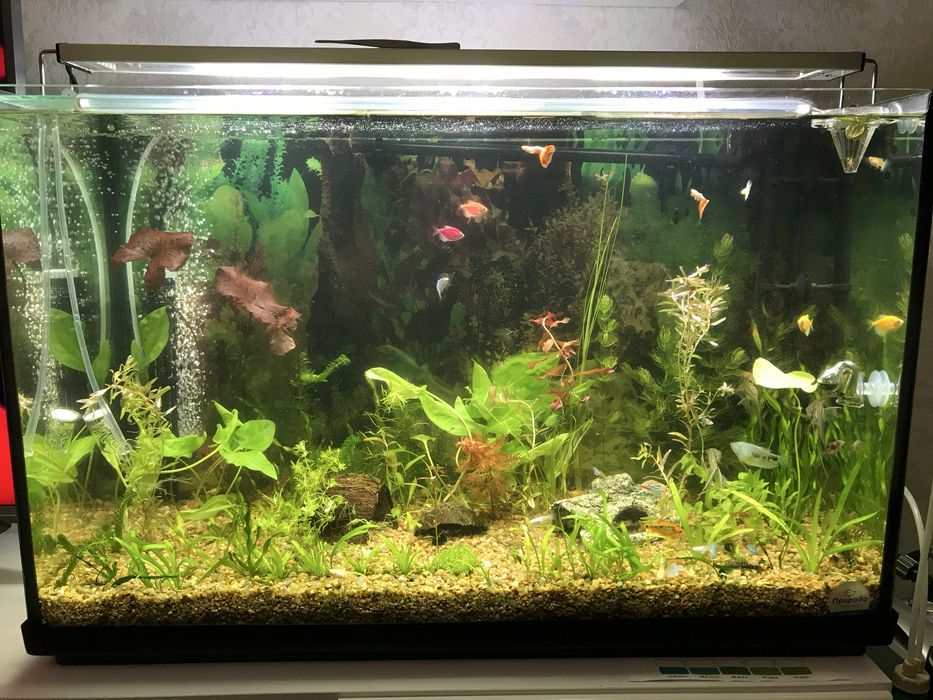 Акваріум об’ємом 140 л
