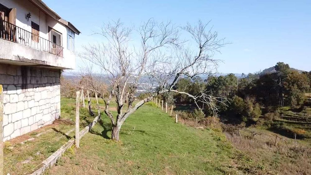 Quinta 2500 m2 em Paços Vilharigues (Vouzela, Viseu) para venda com 1 casa principal e 1 casa secundária, e uma adega centenária