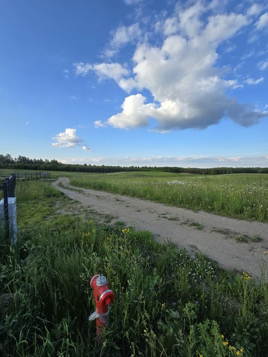 Działka Mazury 9,8 ara z warunkami zabudowy !