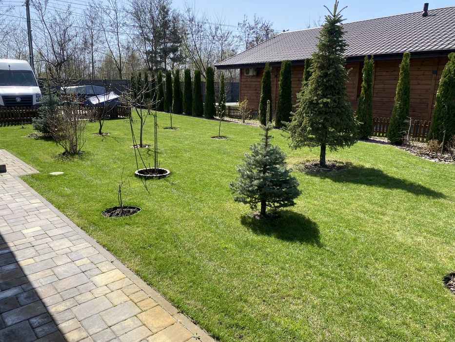 Послуги садівника, скарифікація газону