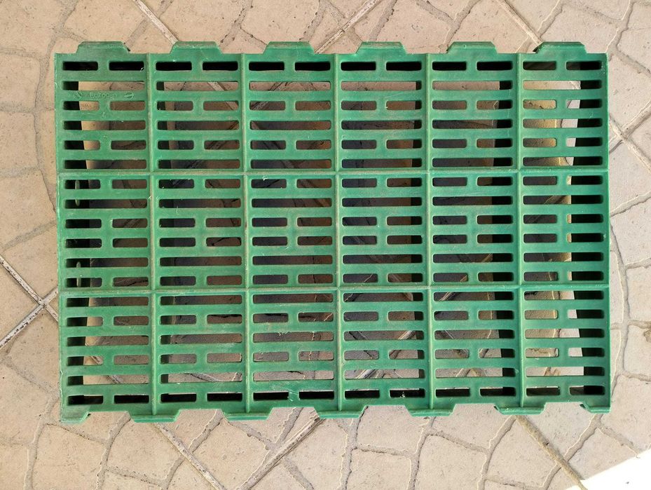 Slat para porcas em maternidade