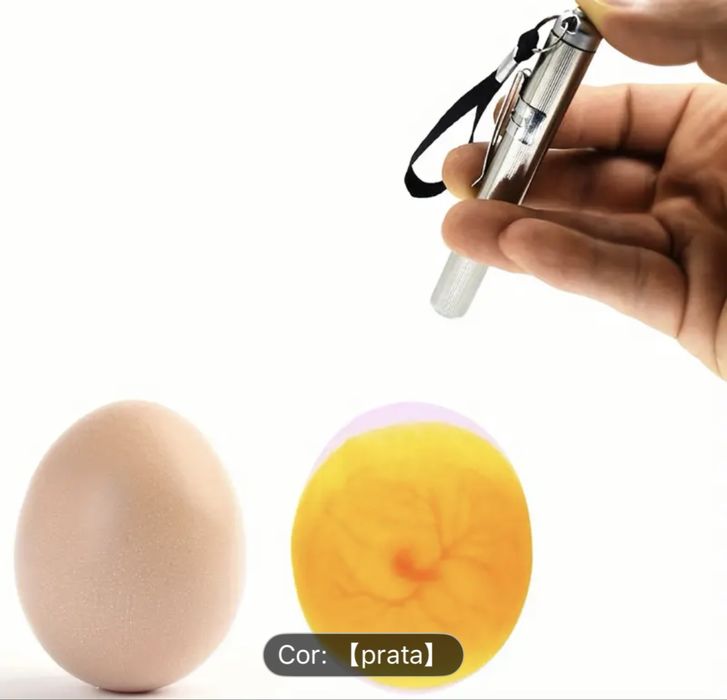 Ferramenta essencial para monitorar o desenvolvimento dos ovos