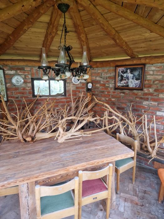 Korzenie dębowe do akwarium