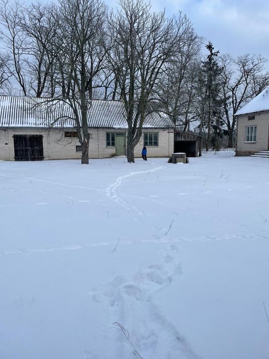 Sprzedam siedlisko 8000m2 dom stodola budynki gospodarcze Wujówka