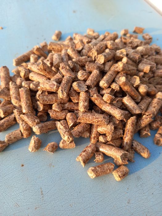 Pellet drzewny pulito