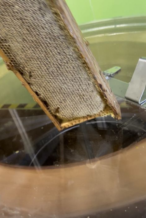 Miód pszczeli,ule,pasieka,pszczoły