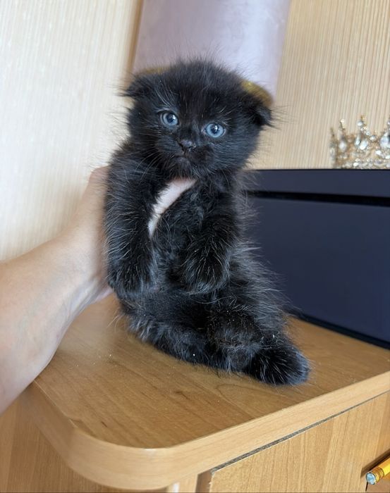 Уровень милоты зашкаливает тут )