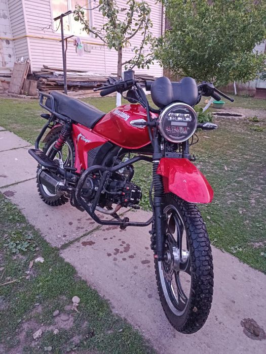 Mustang Dingo MT-125