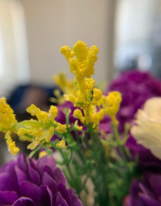 Макролінза, мікролінза для телефону iPhone, Android