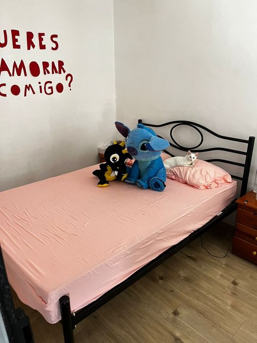 Cama de casal ferro (sem colchão)