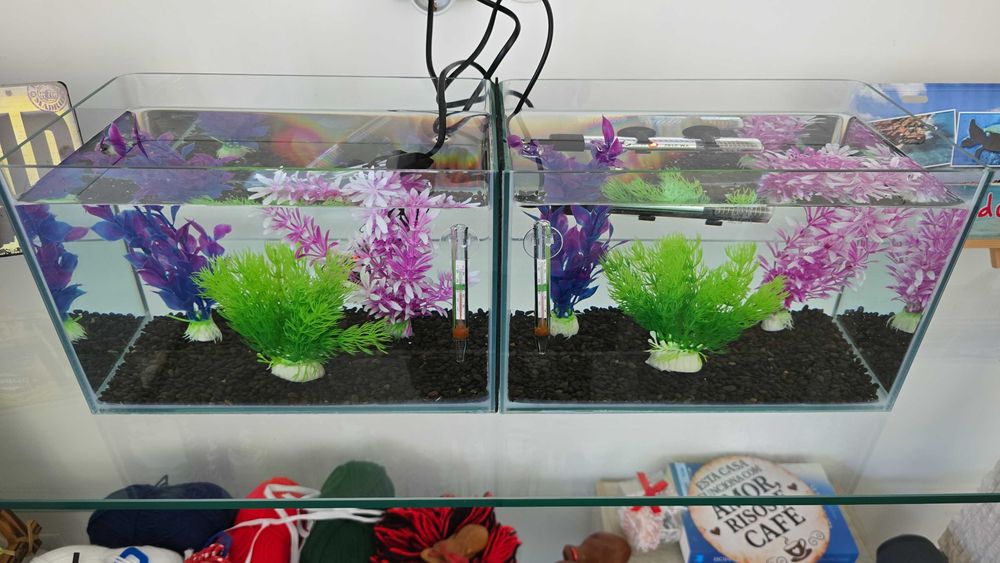 2 aquários 30x18x25