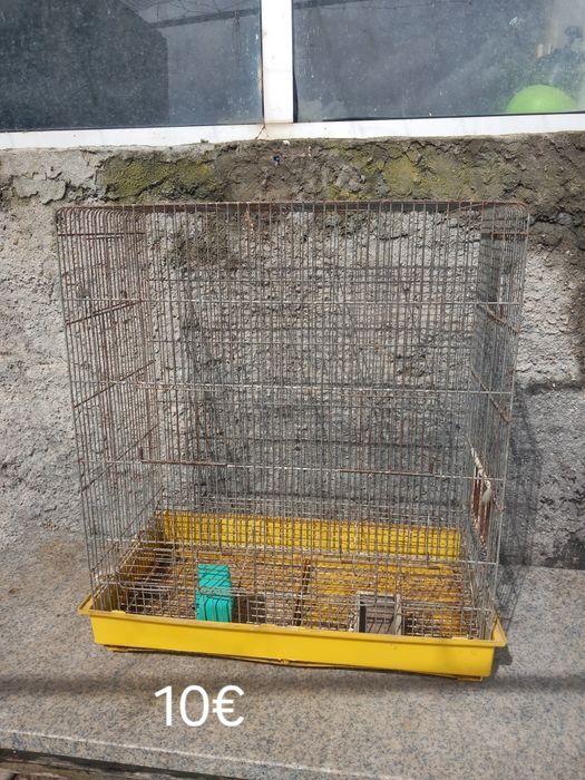 Várias gaiolas para coelhos,porcos da Índia ...