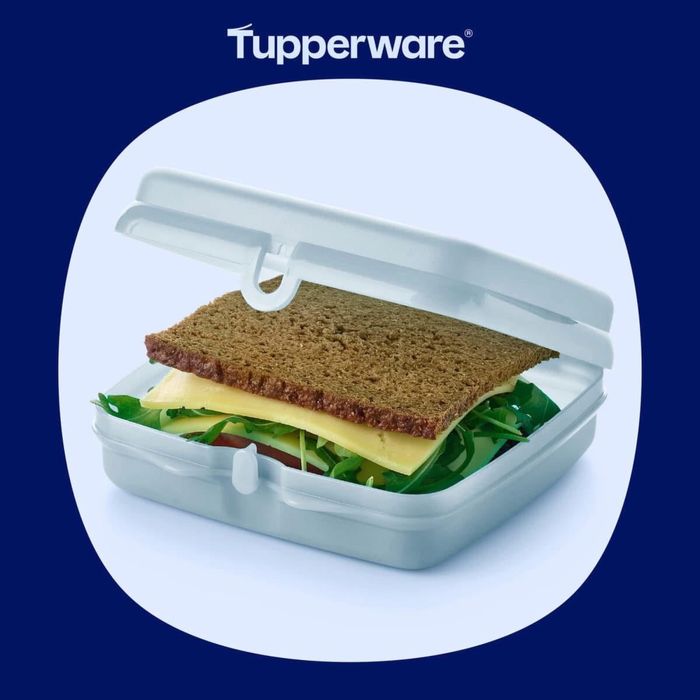 Caixa Sanduiche Cores/Motivos variados Tupperware