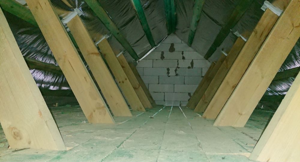 Будинок з ділянкою_Васильків_20 км до Києва