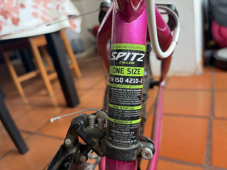 Bicicleta Spitz missy 243 rosa