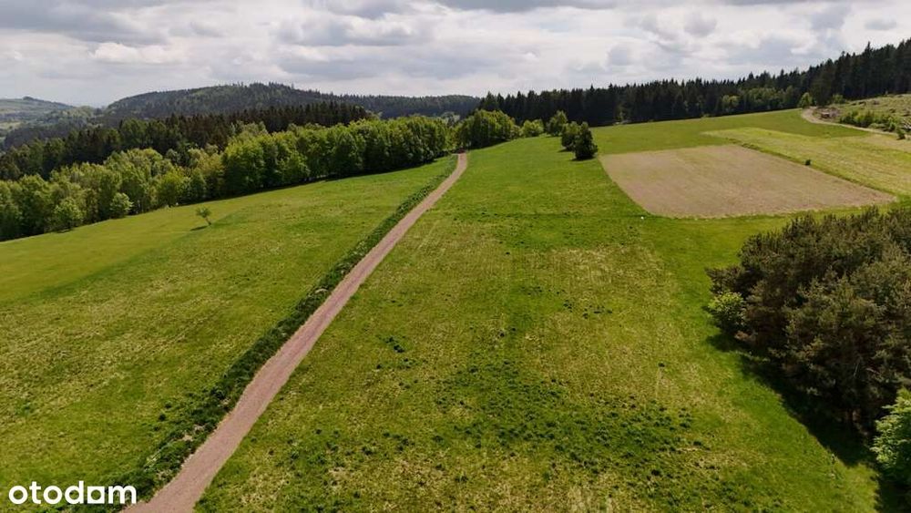 3 Działki W Bartnicy | 3009 M² Z Gotowymi Warunkami Zabudowy