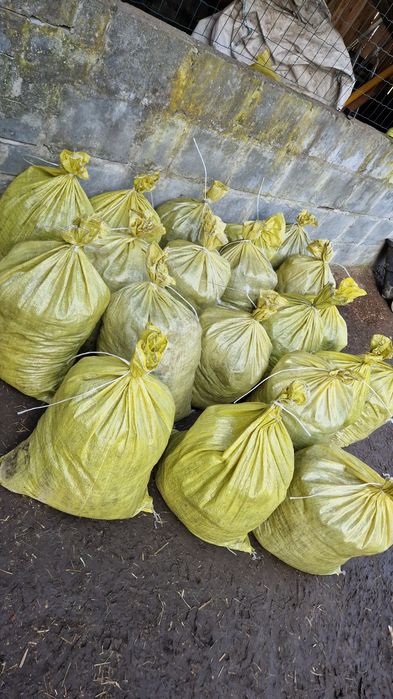 Obornik koński workowany